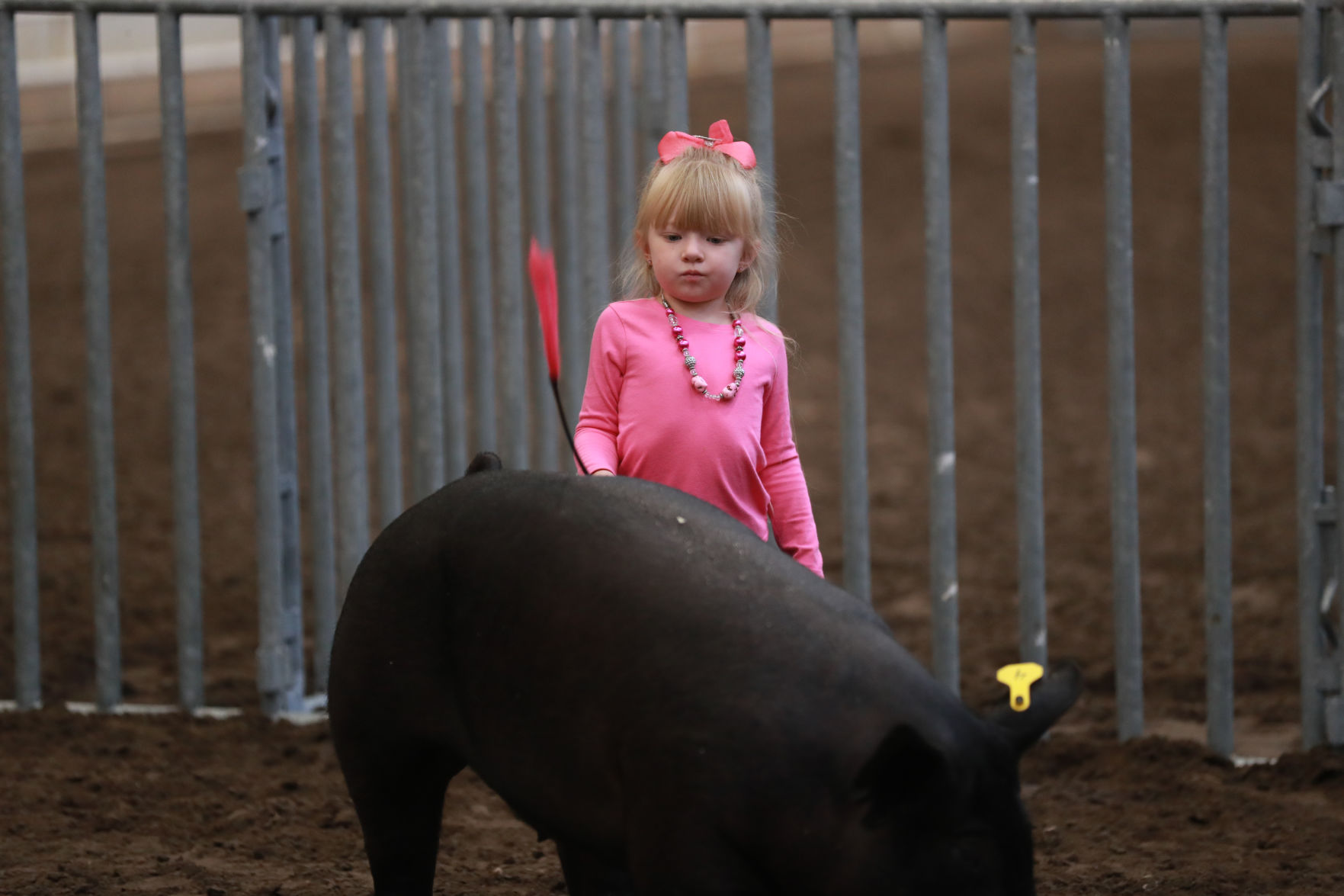 071119_HallCoFair17_bjs.JPG